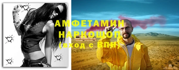прущие грибы Армянск