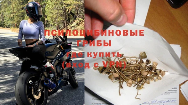 прущие грибы Армянск