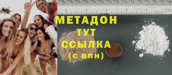 прущие грибы Армянск