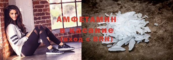 гашик Аркадак