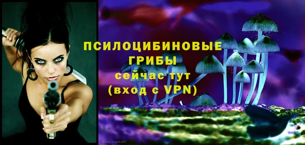 гашик Аркадак