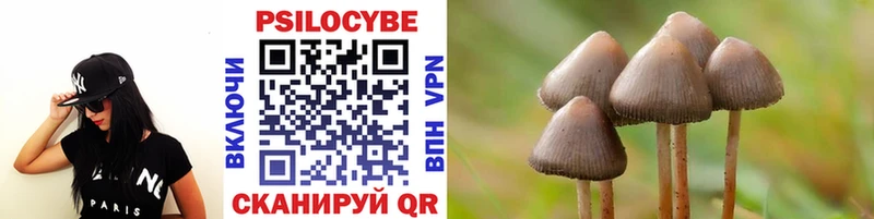 Галлюциногенные грибы Psilocybe  купить наркотик  Строитель 