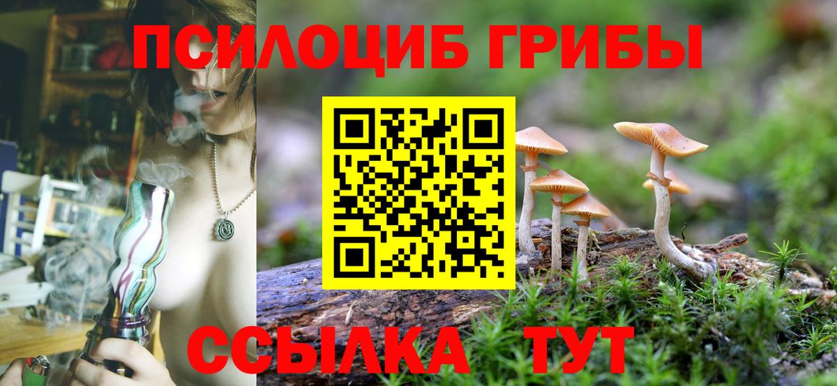 Галлюциногенные грибы MAGIC MUSHROOMS Строитель