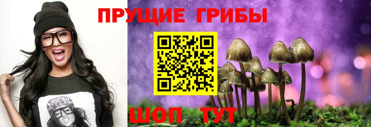 Строитель  Галлюциногенные грибы MAGIC MUSHROOMS  Вход с VPN  Галлюциногенные грибы ЛСД 